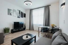 Rose Historic Podgorze Stay in City Center